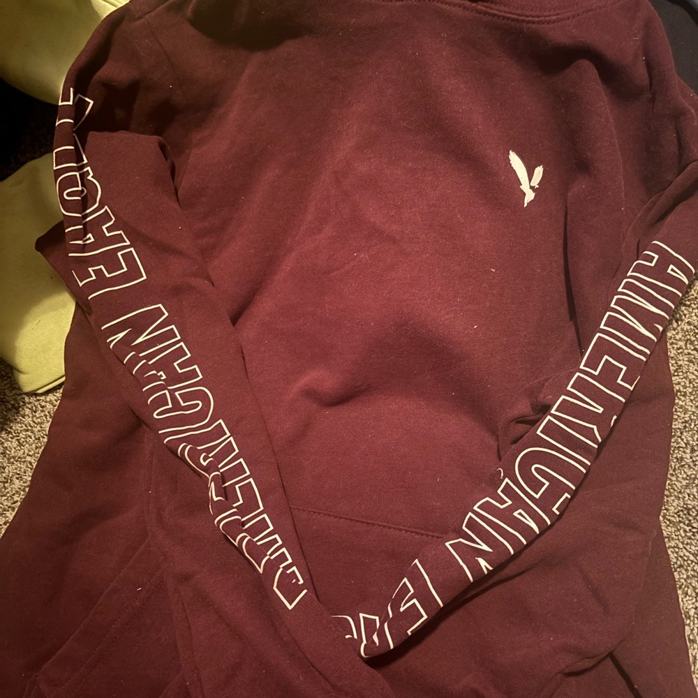 American Eagle Outfitters Burgundy Crewneck Sweater